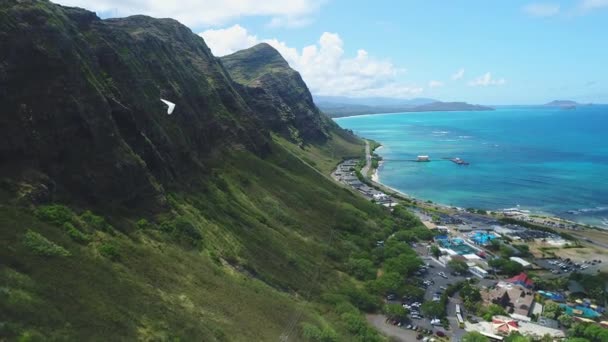 Aerial Parachuter Oahu Hawaii — Video Stock