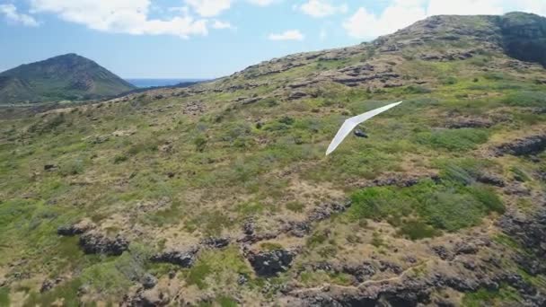 ハワイ州オアフ島のパラシューターの空中 — ストック動画