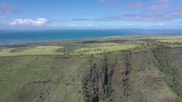 Hawaii Kauai Havalimanı — Stok video