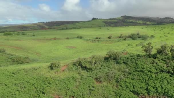 夏威夷考艾岛的空中 — 图库视频影像