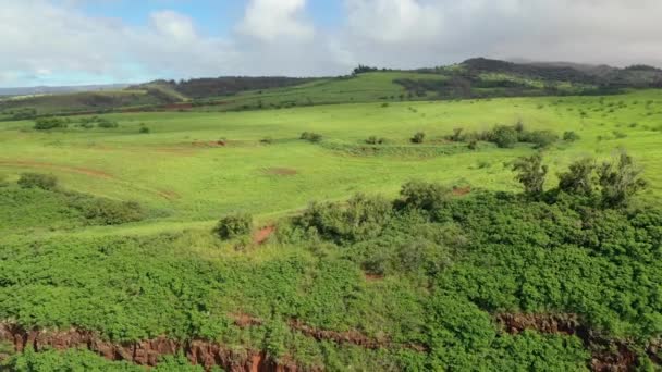 ハワイ州カウアイの空中 — ストック動画