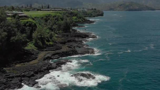 Аеростат Кауаї Гаваї — стокове відео