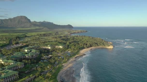 Εναέρια Του Kauai Χαβάη — Αρχείο Βίντεο