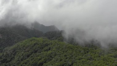 Hawaii, Kauai Havalimanı