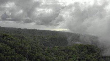 Hawaii, Kauai Havalimanı