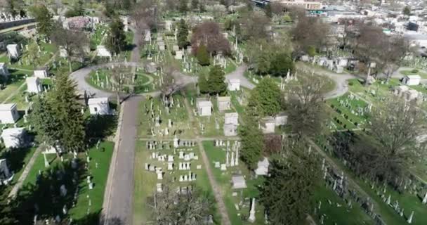Aerial Cemetery Queens Nova York — Vídeo de Stock