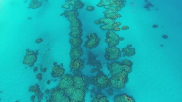 Luchtfoto Van Het Landschap Stranden Bermuda — Stockvideo