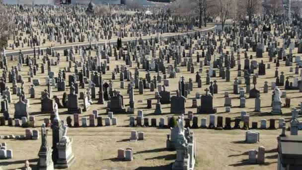 Der Queens Cemetery Eine Vielfältige Ruhestätte New York City Umfasst — Stockvideo