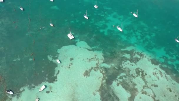 Aerial Maisemia Guadeloupe — kuvapankkivideo