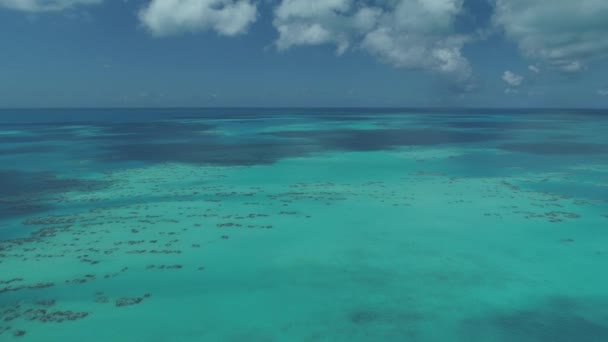バミューダのビーチと風景の空中 — ストック動画