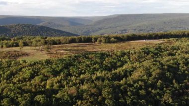 NYC Metro Drone Aerial ile çekim yapıyor. Manhattan ve New Jersey Hudson Nehri üzerinde
