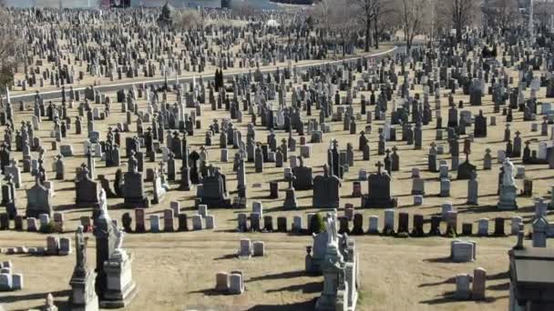 Queens Cemetery Diverso Lugar Descanso Ciudad Nueva York Comprende Varios — Vídeos de Stock