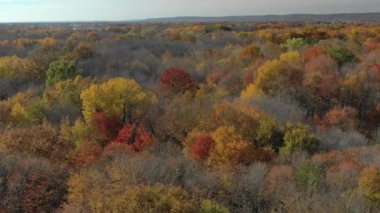 New Paltz, New York 'taki Mohonk Dağı Havalimanı