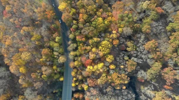 Zdjęcie Góry Mohonk New Paltz Nowy Jork — Wideo stockowe