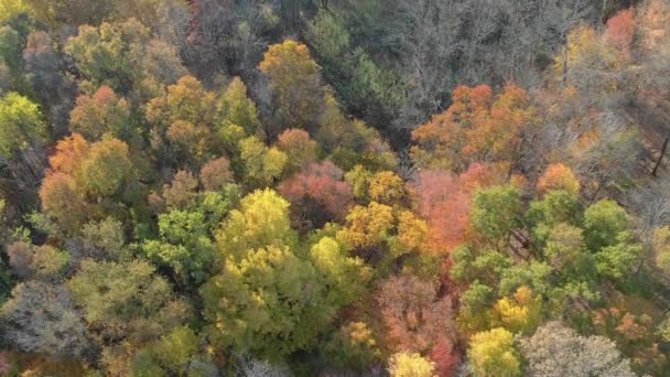 Rezerwat Mohonk Północy Stanu — Wideo stockowe