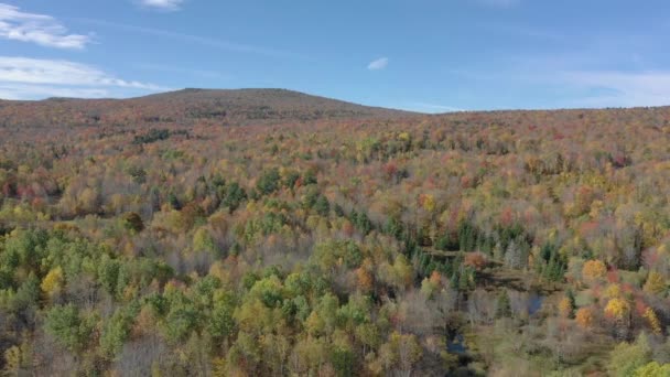 Aerial Mohonk Mountain New Paltz New York — Stok Video