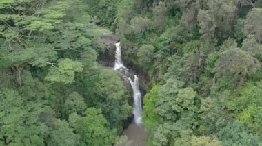 Hawaii 'deki Sahillerin Havası