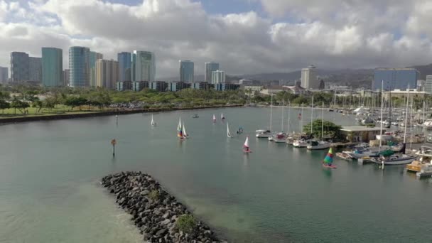 Plajele Din Hawaii — Videoclip de stoc