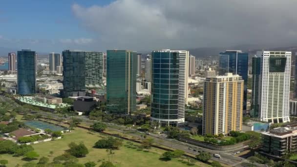 Aerial Beaches Hawaii — Stock Video