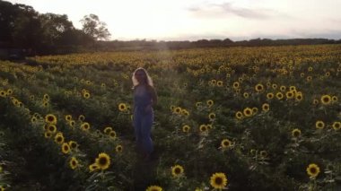 New York 'un kuzeyinde, Ayçiçeği tarlasında yürüyen kadın antenleri.