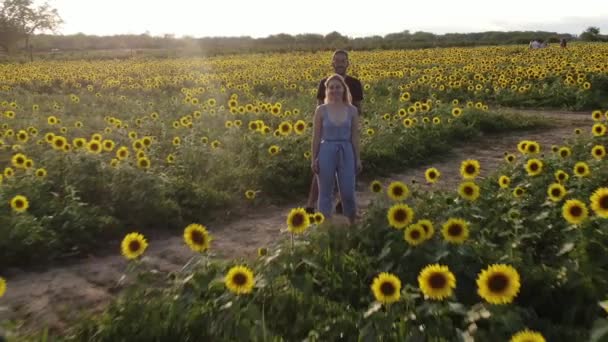 Luchtfoto Van Mensen Sunflower Field Upstate New York — Stockvideo