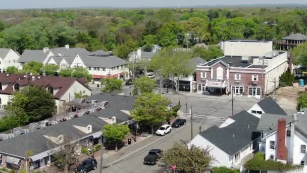 Hamptons Aerial Large Homes — Stock videók