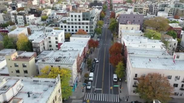 Greenpoint Brooklyn Aerial 2021 — Video Stock