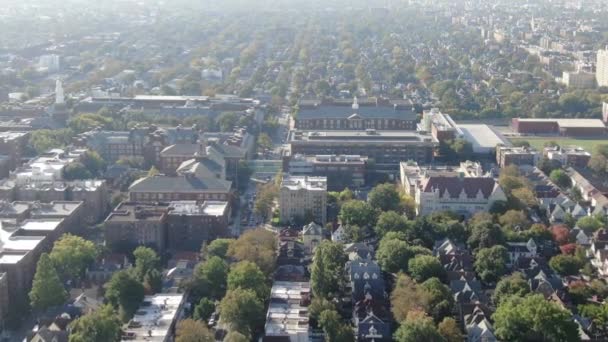 Aerial Flatbush Brooklyn — Videoclip de stoc