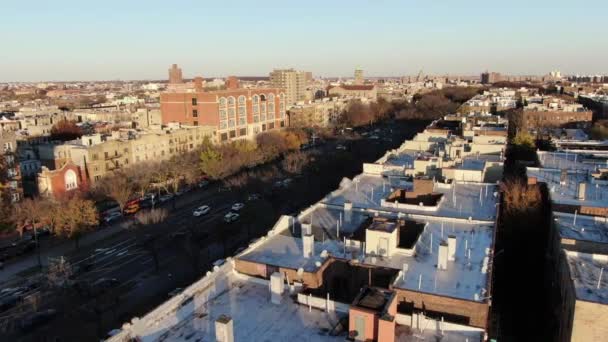 Brooklyn Crown Hights Aerial 2020 — Stockvideo