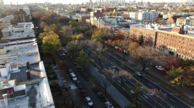 Brownstone ve Victorian malikaneleriyle işaretlenen Crown Heights, Karayipler ve kosher lokantalarının moda kafeler ve DJ yakıtlı barlarla sokakları paylaştığı gelişmekte olan bir bölge. Frederick Law Olmsted tarafından tasarlanmış, ağaç çizgili Doğu Parkway..
