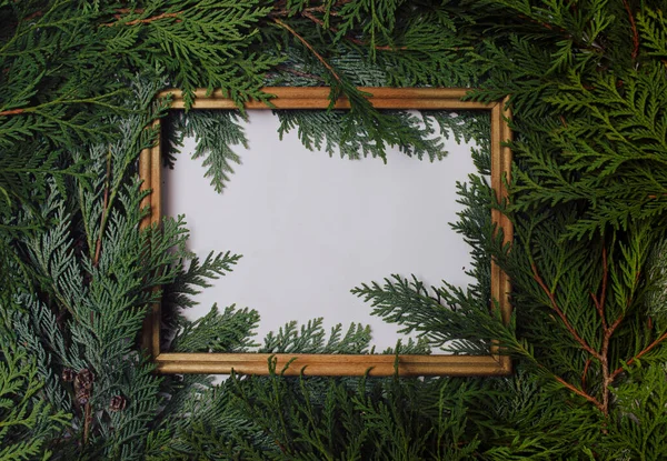 Beyaz zemin üzerinde selvi dalları ile yeşil düz yatıyordu.. Metin, kopyalama ve harf için boş boşluk.