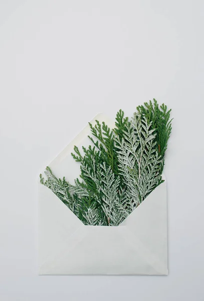 Beyaz arka planda beyaz bir Noel kompozisyonu. Beyaz bir zarfta donmuş selvi çiçekleri var. Yeni yıl kartı göndermeye hazır. Asgari Noel fikri.