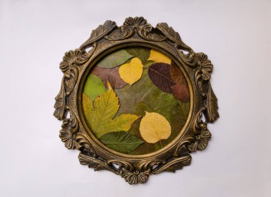 Beyaz arka planda sonbahar yapraklı klasik çerçeve. Düz yatıyordu yaratıcı kompozisyon.