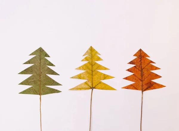 Minimum sonbahar ve kış konsepti. Beyaz arka planda yeşil, sarı ve turuncu yaprak veya ağaç. Mevsimler değişti, düzlük..