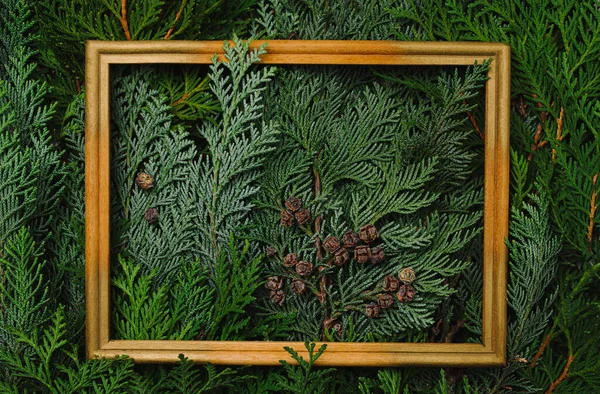 Altın ve kahverengi çerçeveli selvi ve yapraklardan oluşan yaratıcı bir düzen. Düz yatıyordu. Doğa konsepti.