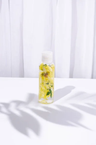 İçinde bitkiler olan kozmetik şişesi. Asgari konsept.