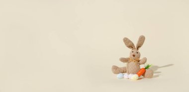 Beyaz arka planda yumurta ve havuçlu şirin bir tavşan. Yaratıcı Paskalya kartı fikri.