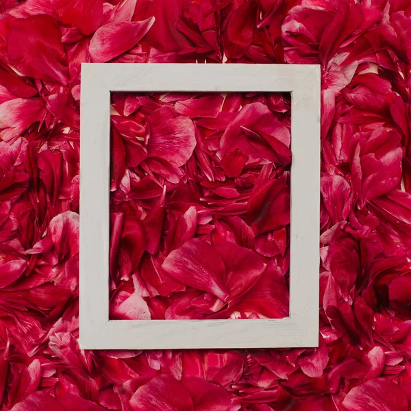 Beyaz çerçeveli şakayık yapraklarından yapılmış yaratıcı bir düzen. Doğa konsepti.