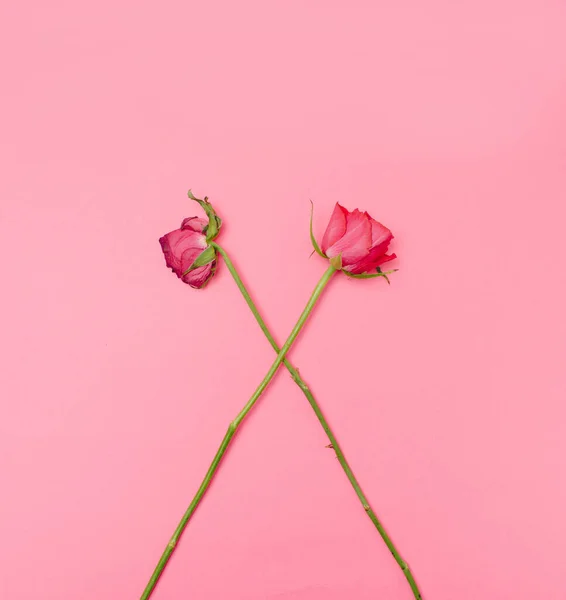 İki karşıt pembe gül gençliği ve yaşlılığı temsil ediyor. Yaşlanmayı gösteren en küçük kavram.