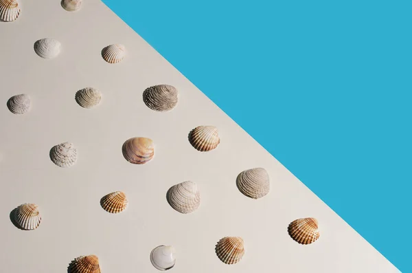 Sahilin arka planında deniz kabuklarından oluşmuş bir bileşim. Asgari yaz fikri.