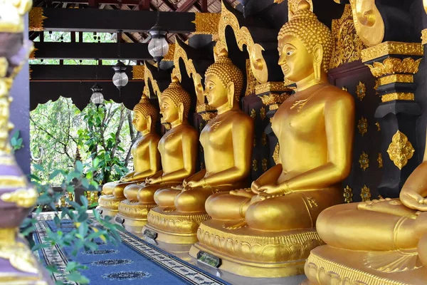 Row Golden Buddha Statue Wat Phra Doi Phra Chan Lampang — Stock Photo, Image