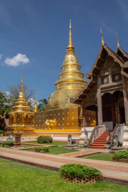 Wat Phra Singh Tayland 'ın kuzeyindeki Chiang Mai bölgesinde bulunan bir Budist tapınağıdır.. 