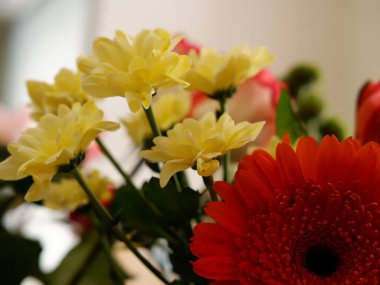 Kasımpatı ve gerbera buketi