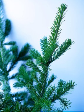 Toplarla süslenmiş Noel ağacı