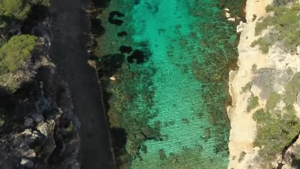Filmik Lotu Ptaka Plażę Cala Bassa Ibizie — Wideo stockowe