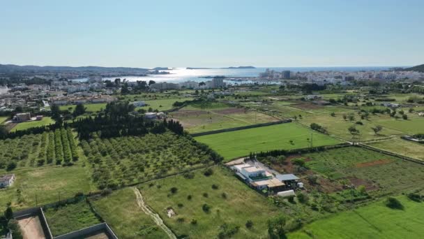 Island Coast Marina Seen Ibiza Island Drone Video — Vídeo de Stock
