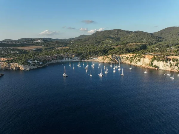 Cala dHort 'un havadan görüntüsü. İbiza adası. İspanya.