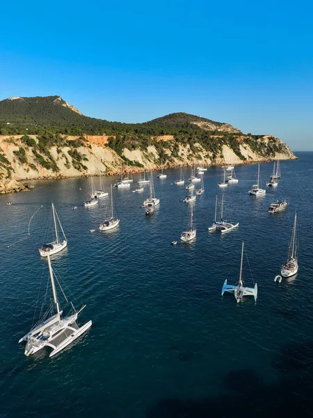 Cala dHort 'un havadan görüntüsü. İbiza adası. İspanya.