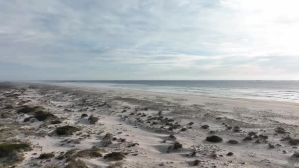 Huge Totally Empty Beach Large Area Dunes Coast Portugal — Video Stock
