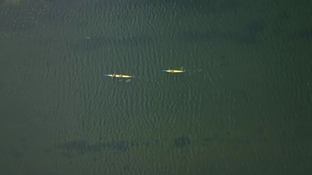 Aerial Video Kayaks Practicing River — Vídeo de Stock